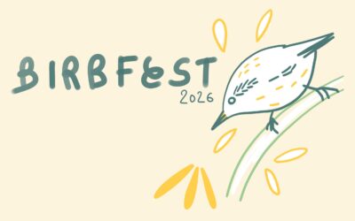 Birbfest challenge 2026